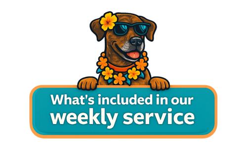 What's included in Weekly Service