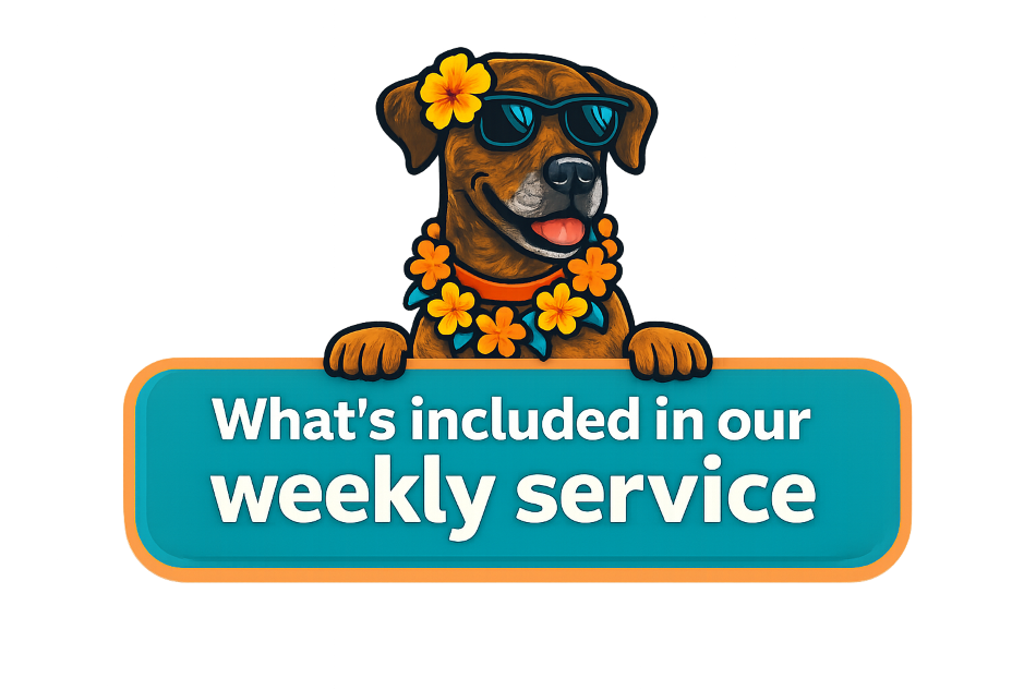 Whats included in Weekly Service-1