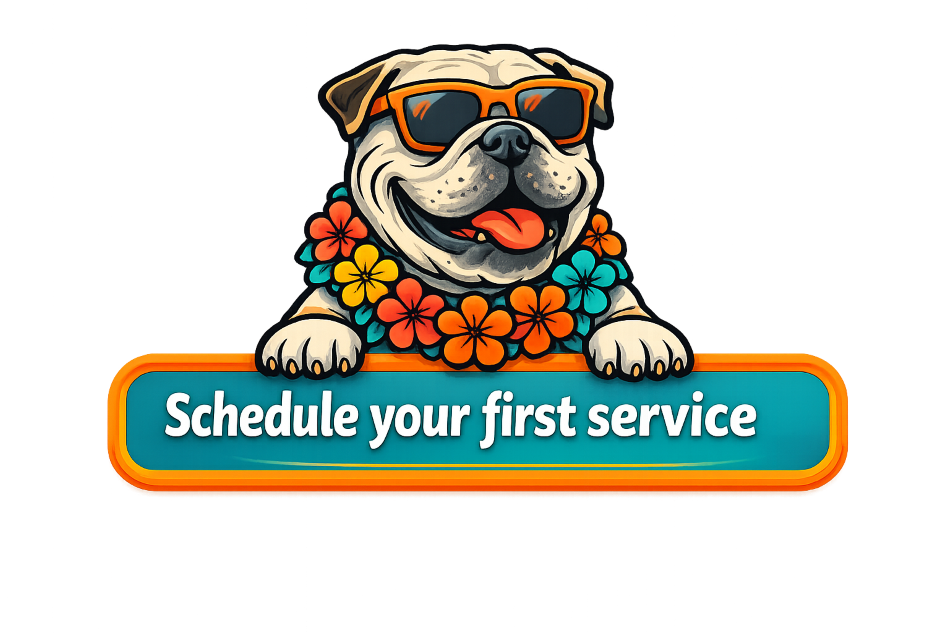 Schedule First Service