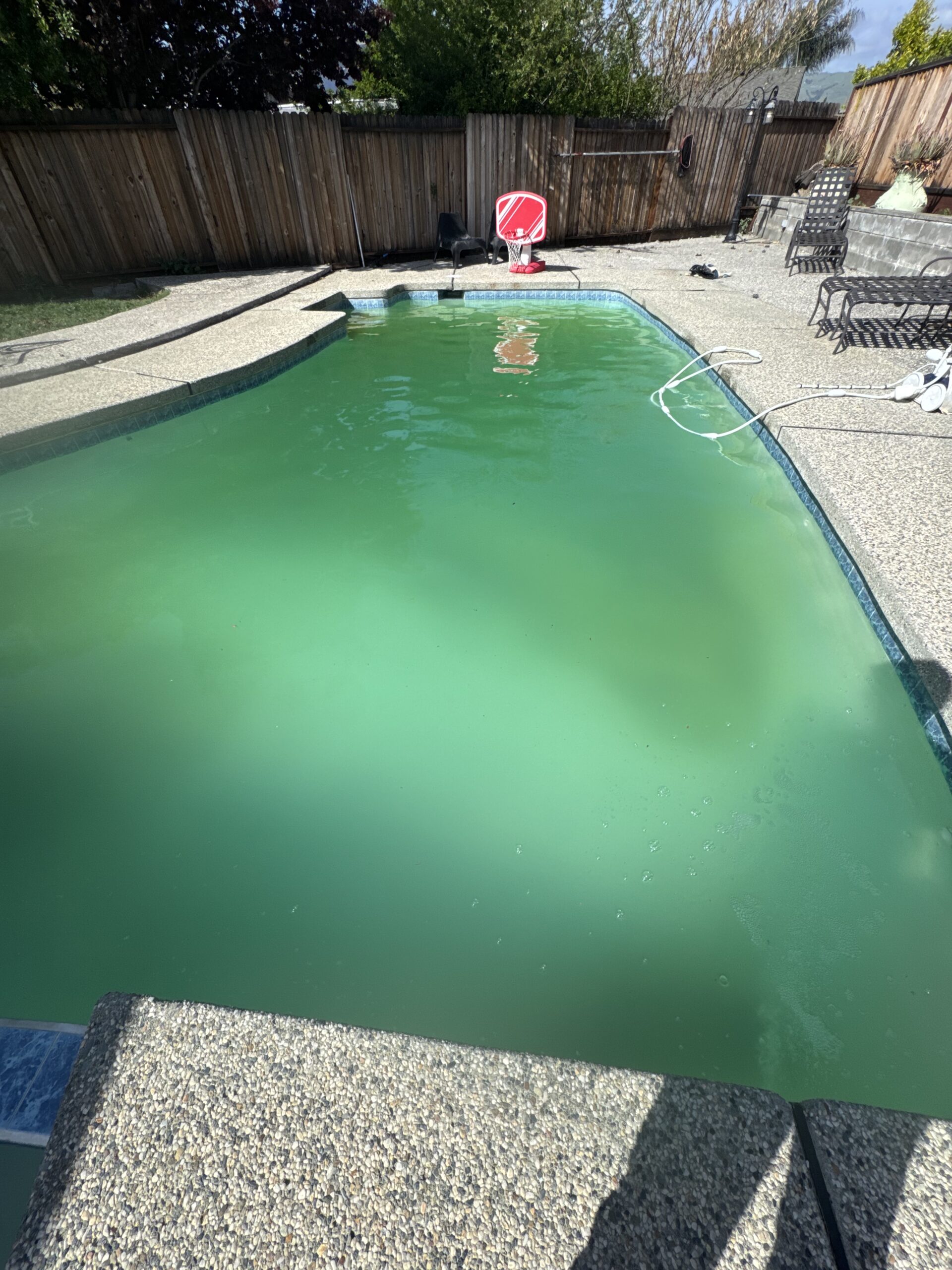 Green-to-clean pool recovery in Central Florida