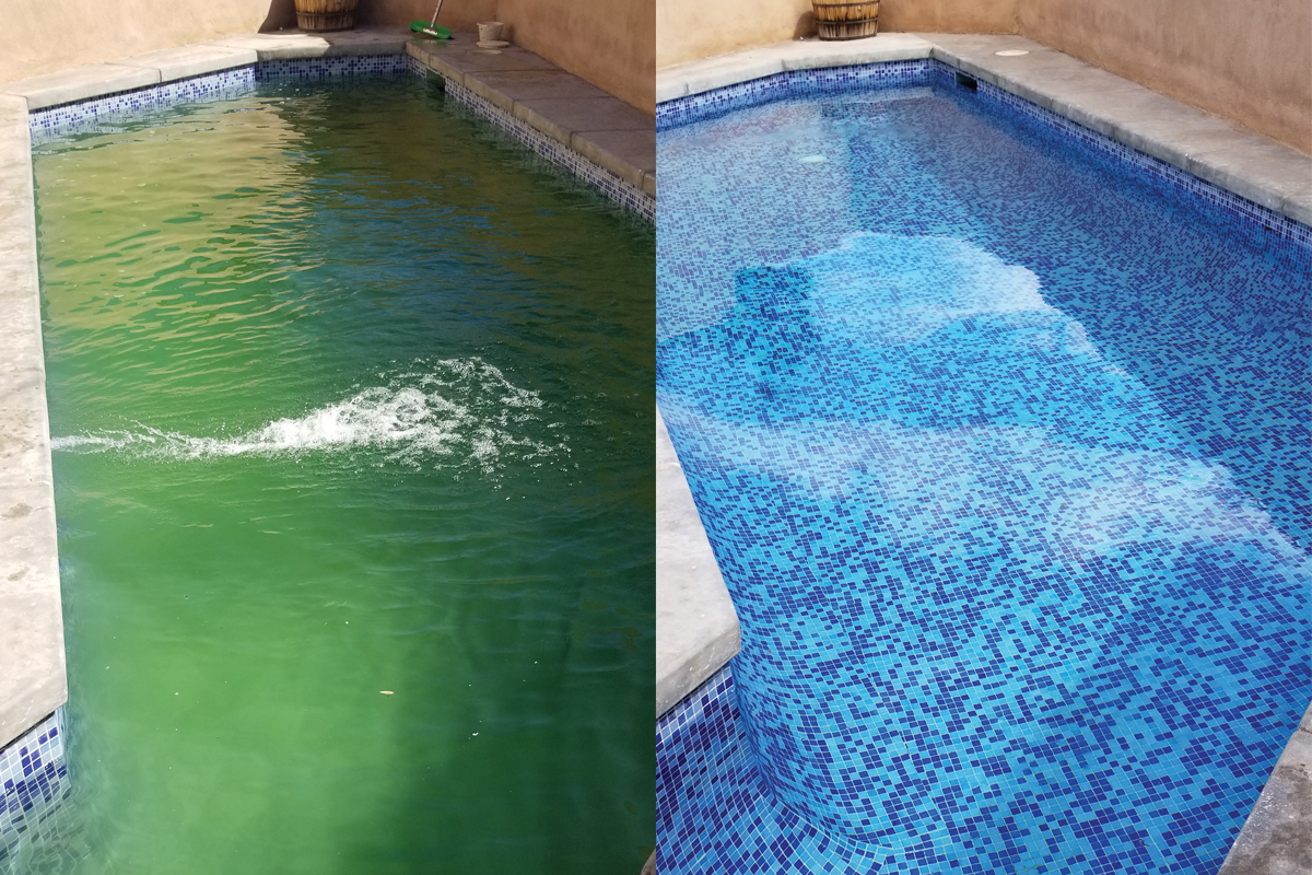 Green to Clean - Sunwave Pool Pros - Sunwave Pool Pros Green to Clean pool recovery service in Central Florida removing algae from swimming pool